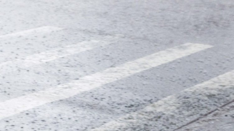 Снимка: Reuters, архив