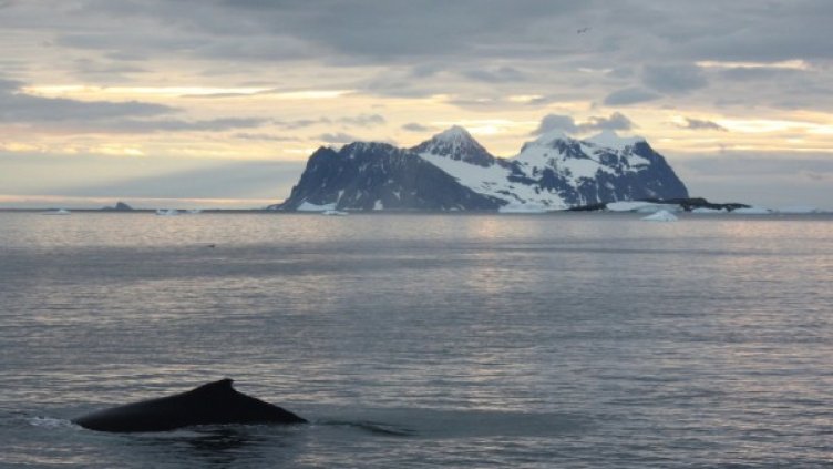 Снимка: Reuters, архив