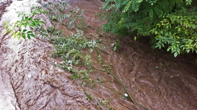 Снимка: Булфото