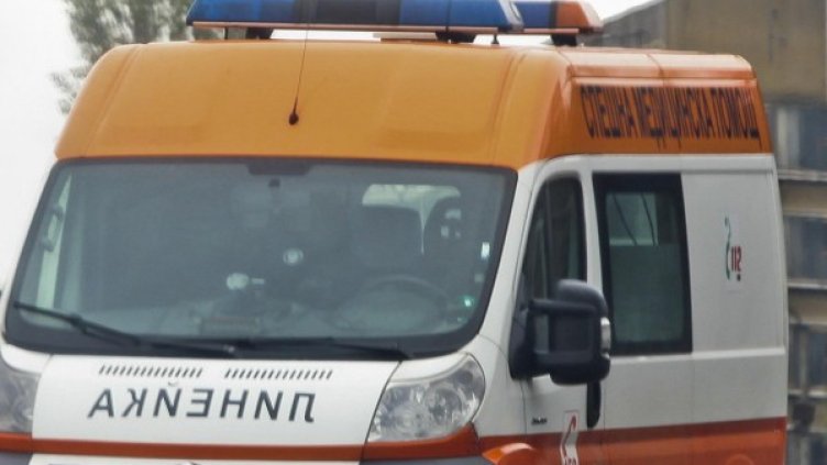 Снимка: архив, Булфото