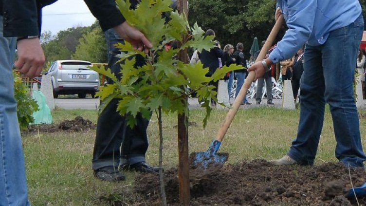 Снимка: Булфото, архив