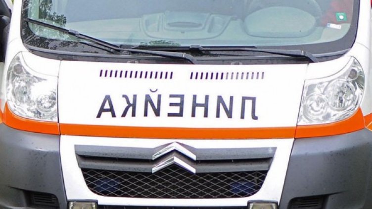 Снимка: архив Булфото