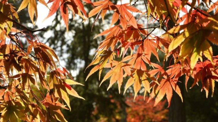 Снимка: архив, Reuters
