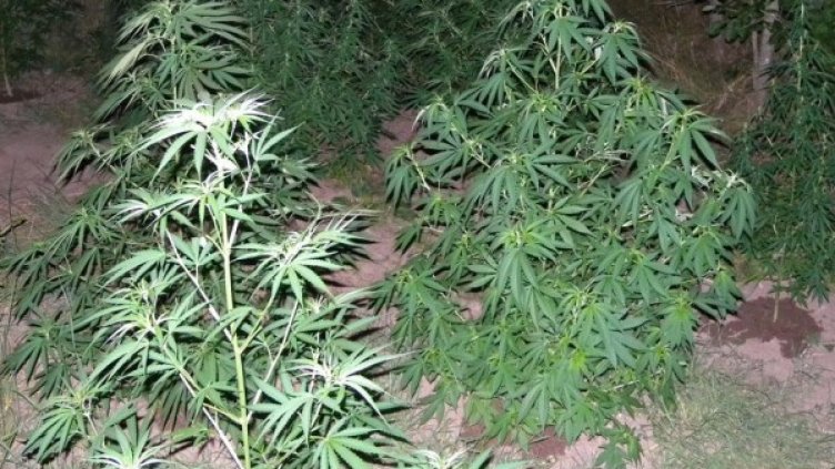 Снимка: архив, Булфото