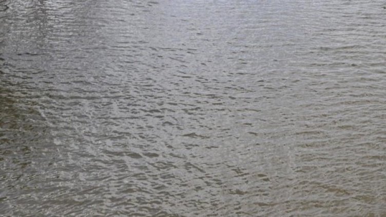 Снимка: Булфото, архив