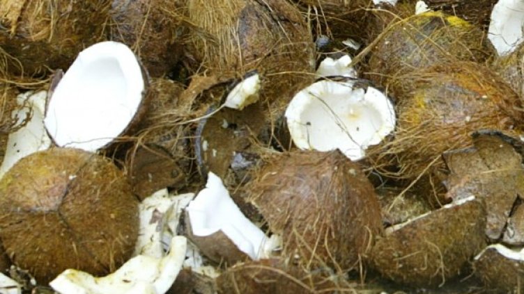 Снимка: Архив Reuters