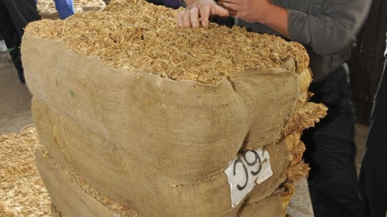 Снимка: Булфото, архив