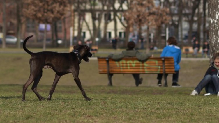 Снимка: архив Reuters