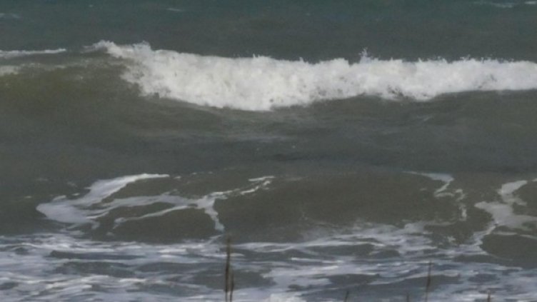 Снимка: Булфото, архив