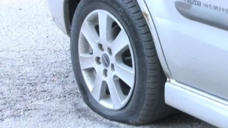 Снимка: Нова телевизия