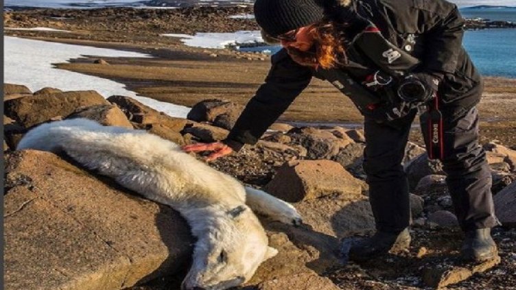 Снимка: Facebook, Kersin Langenberger 
Снимка: Instagram, Paul Nicklen