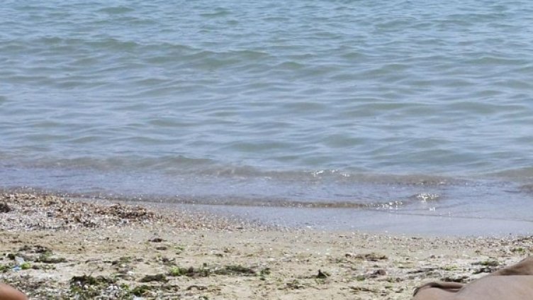 Снимка: Булфото, архив