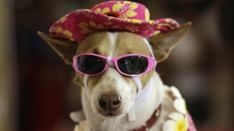 Снимка: Reuters, архив