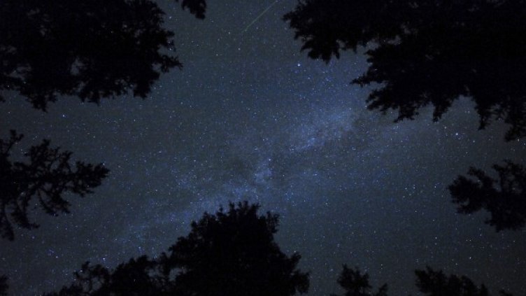 Снимка: Архив Reuters