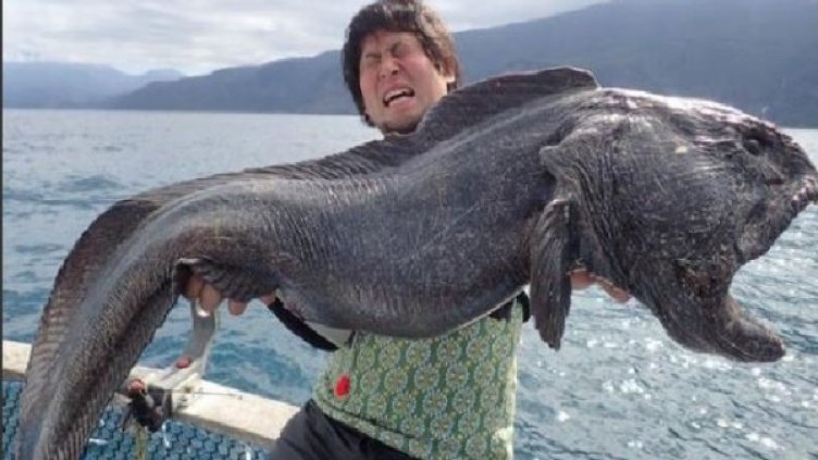 Снимка: Twitter