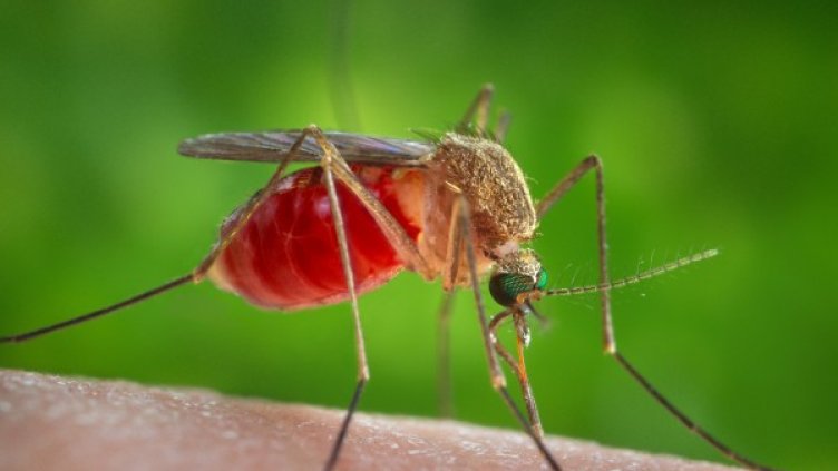 Снимка: архив, Reuters