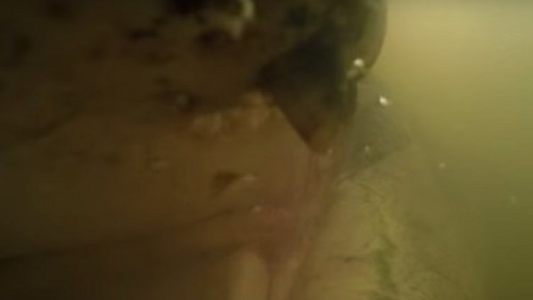 Снимка: Youtube