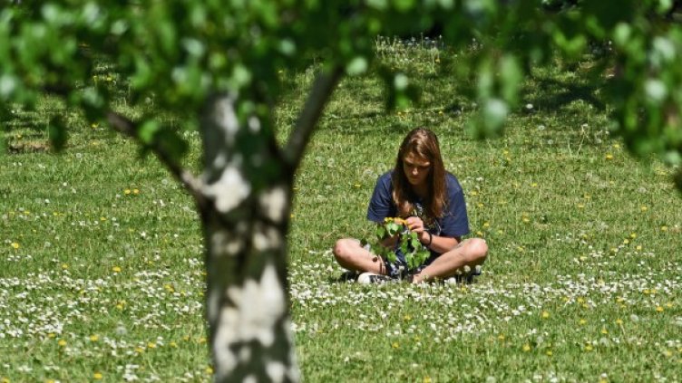 Снимка: Булфото, архив