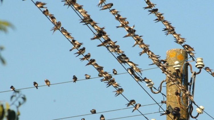 Снимка: архив, Булфото