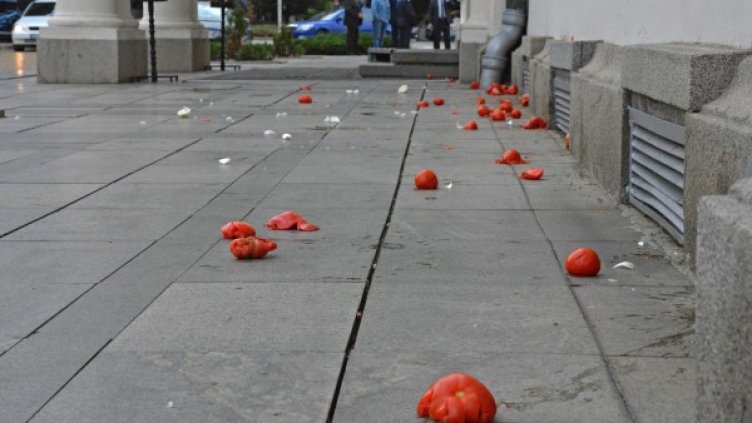 Снимка: Булфото