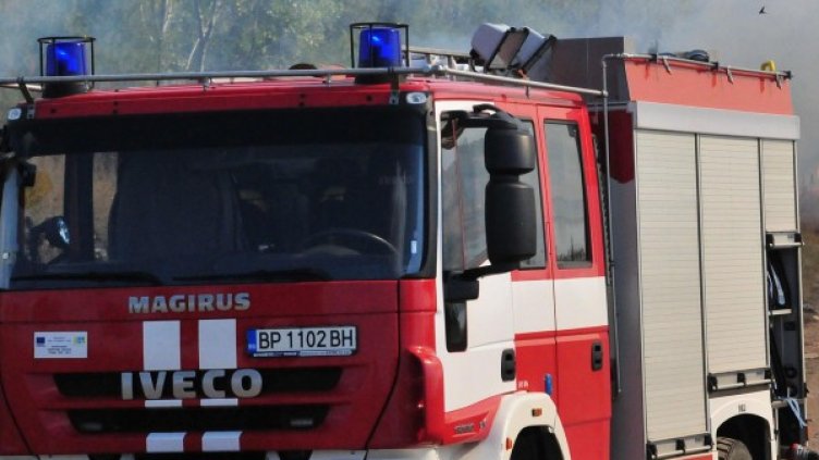 Снимка: Булфото, архив