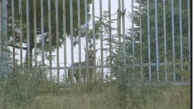 Снимка: "Труд"