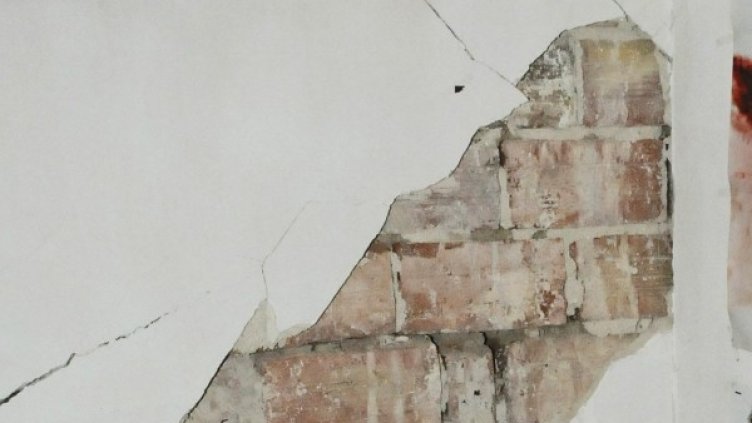 Снимка: архив Булфото