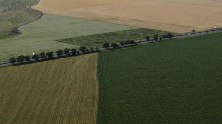 Архив: Булфото