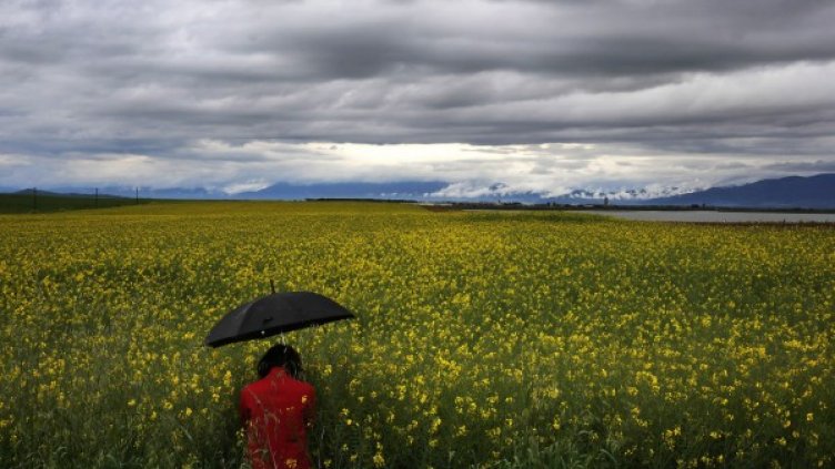 Снимка: Архив Reuters