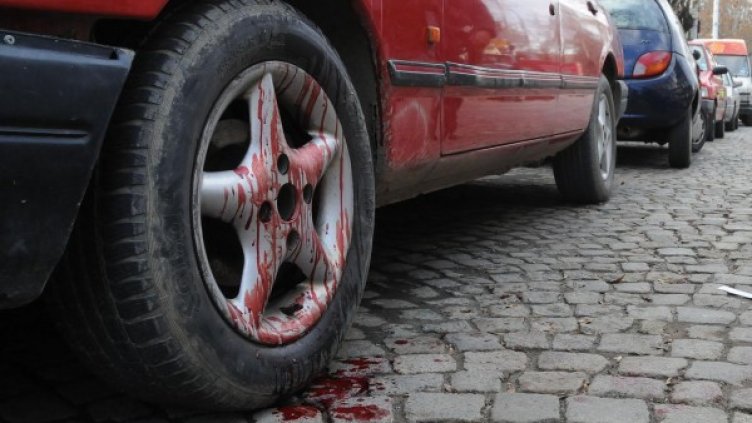 Снимка: архив Булфото