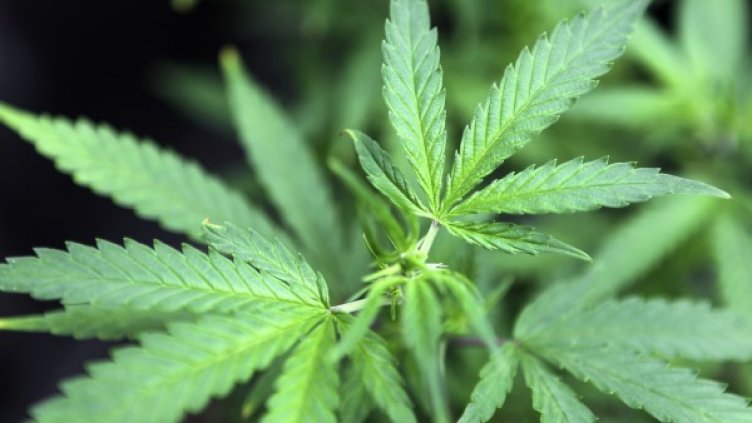 Снимка: Reuters, архив