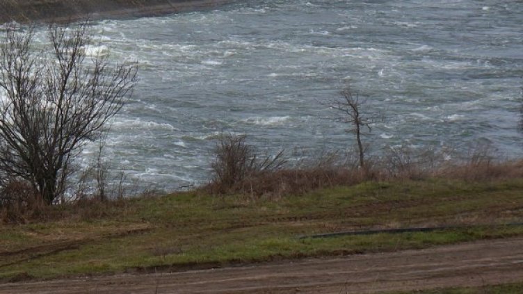 Архив: Булфото