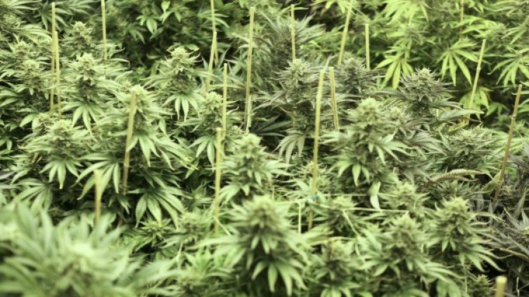 Снимка: Reuters, архив