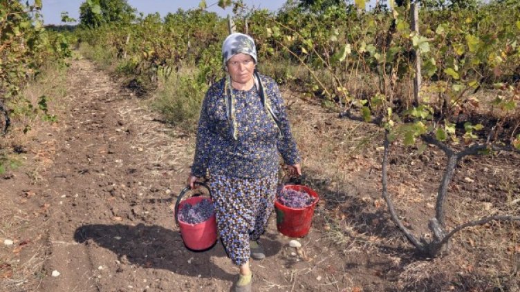 Снимка: Булфото, архив