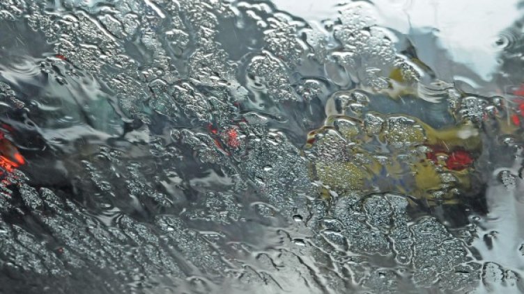 Снимка: архив, БулФото