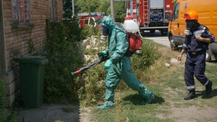 Снимка: Булфото, архив