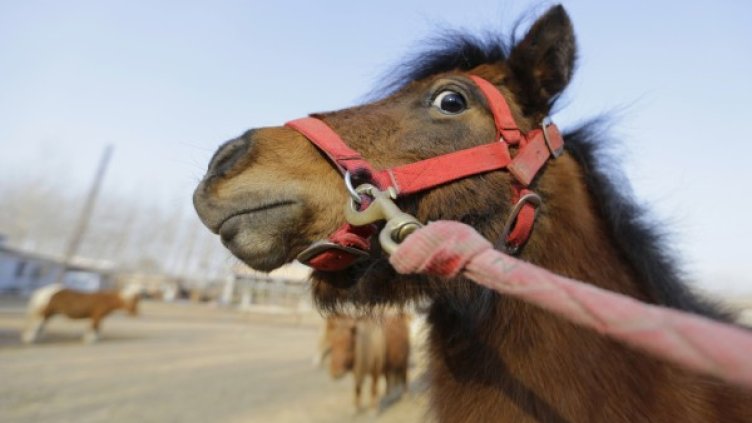 Снимка: Reuters, архив