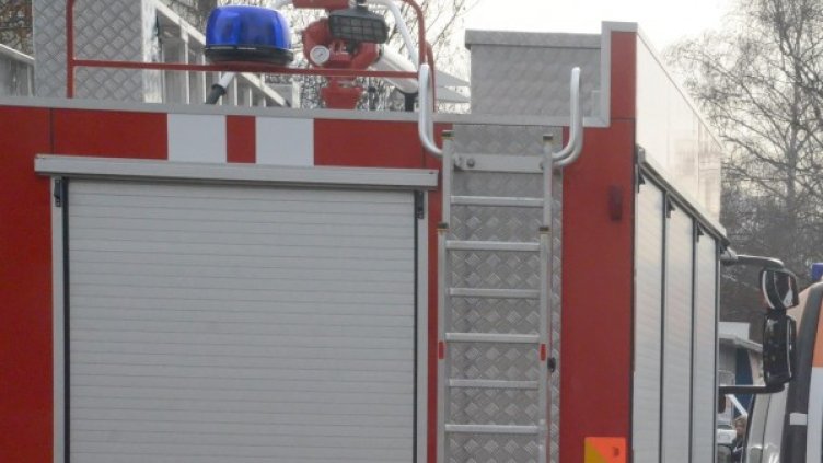 Снимка: архив, БулФото