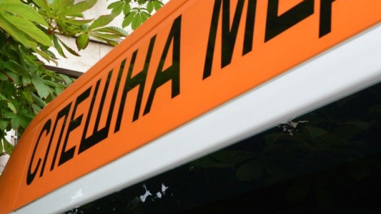 Снимка: архив Булфото