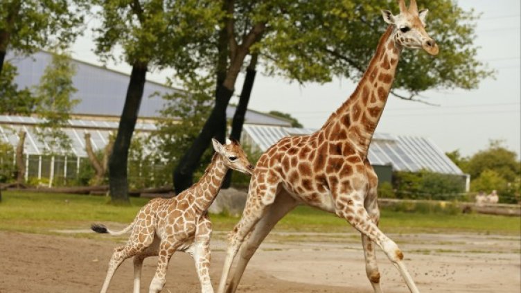 Снимка: Reuters