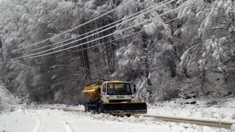 Снимка: архив Булфото