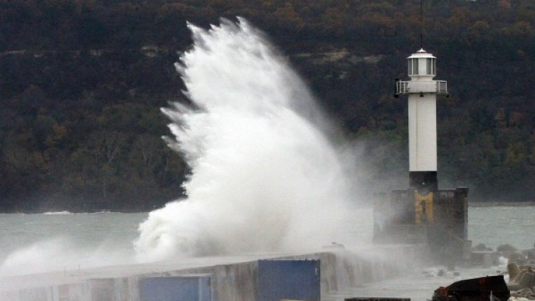 Снимка: Булфото, архив