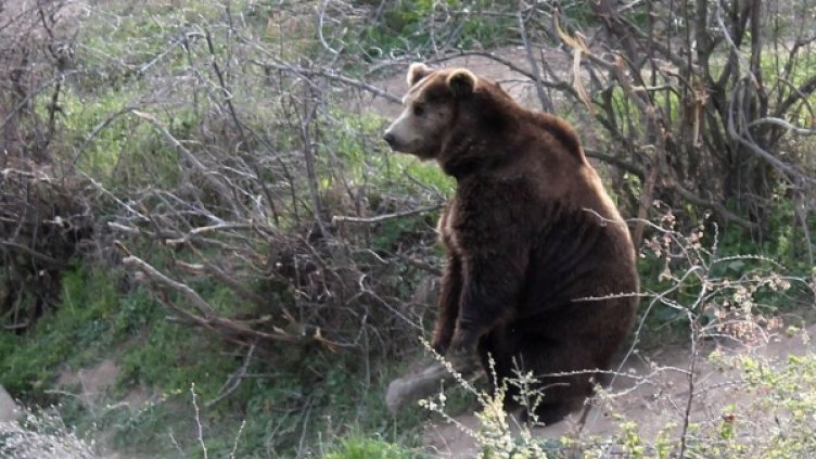 Снимка: Булфото, архив