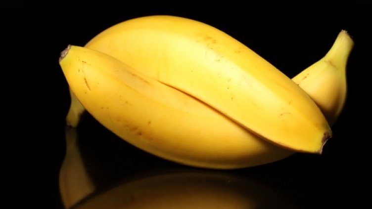 Снимка: photl.com