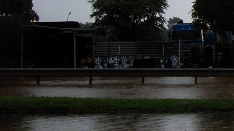 Снимка: архив Булфото