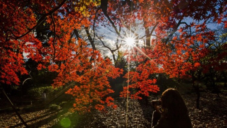 Снимка: Reuters, архив