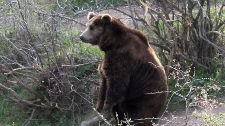 Снимка: Булфото, архив