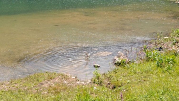 Снимка: Булфото, архив