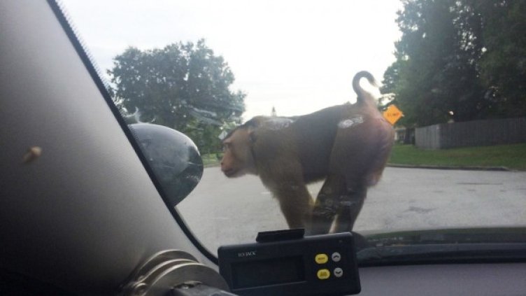 Снимка: Facebook