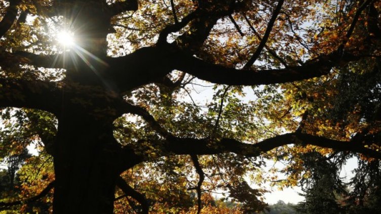 Снимка: архив, Reuters